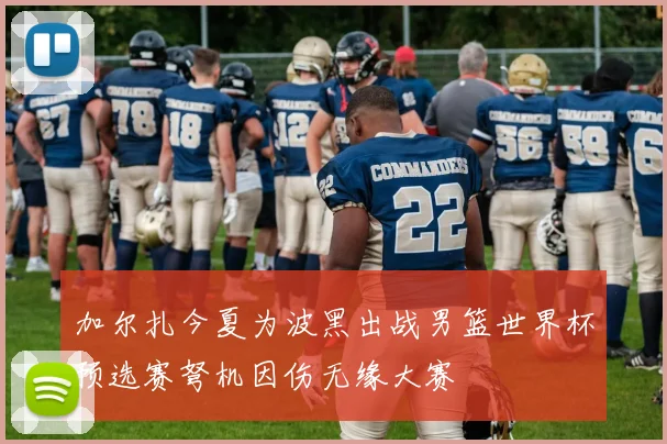 加尔扎今夏为波黑出战男篮世界杯预选赛弩机因伤无缘大赛