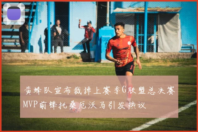 黄蜂队宣布裁掉上赛季G联盟总决赛MVP前锋托桑厄沃马引发热议