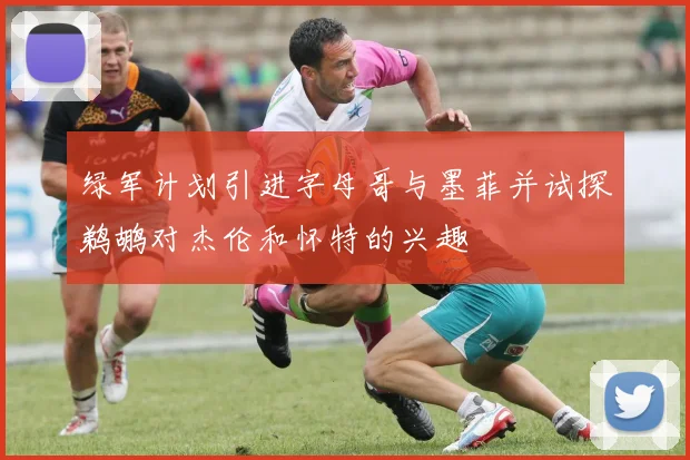 绿军计划引进字母哥与墨菲并试探鹈鹕对杰伦和怀特的兴趣